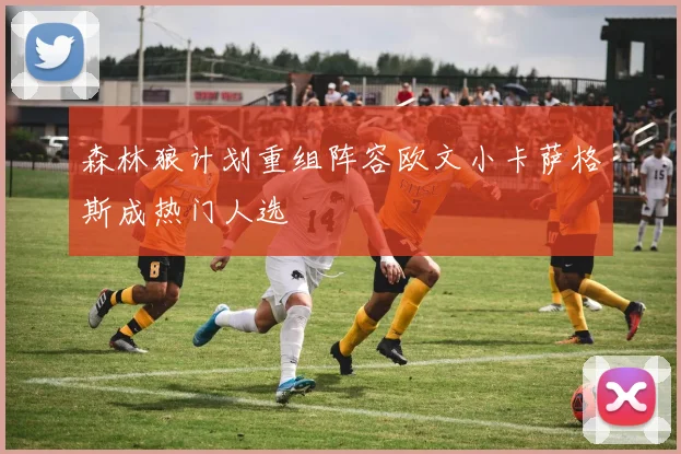森林狼计划重组阵容欧文小卡萨格斯成热门人选